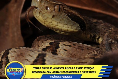 Cuidados essenciais: